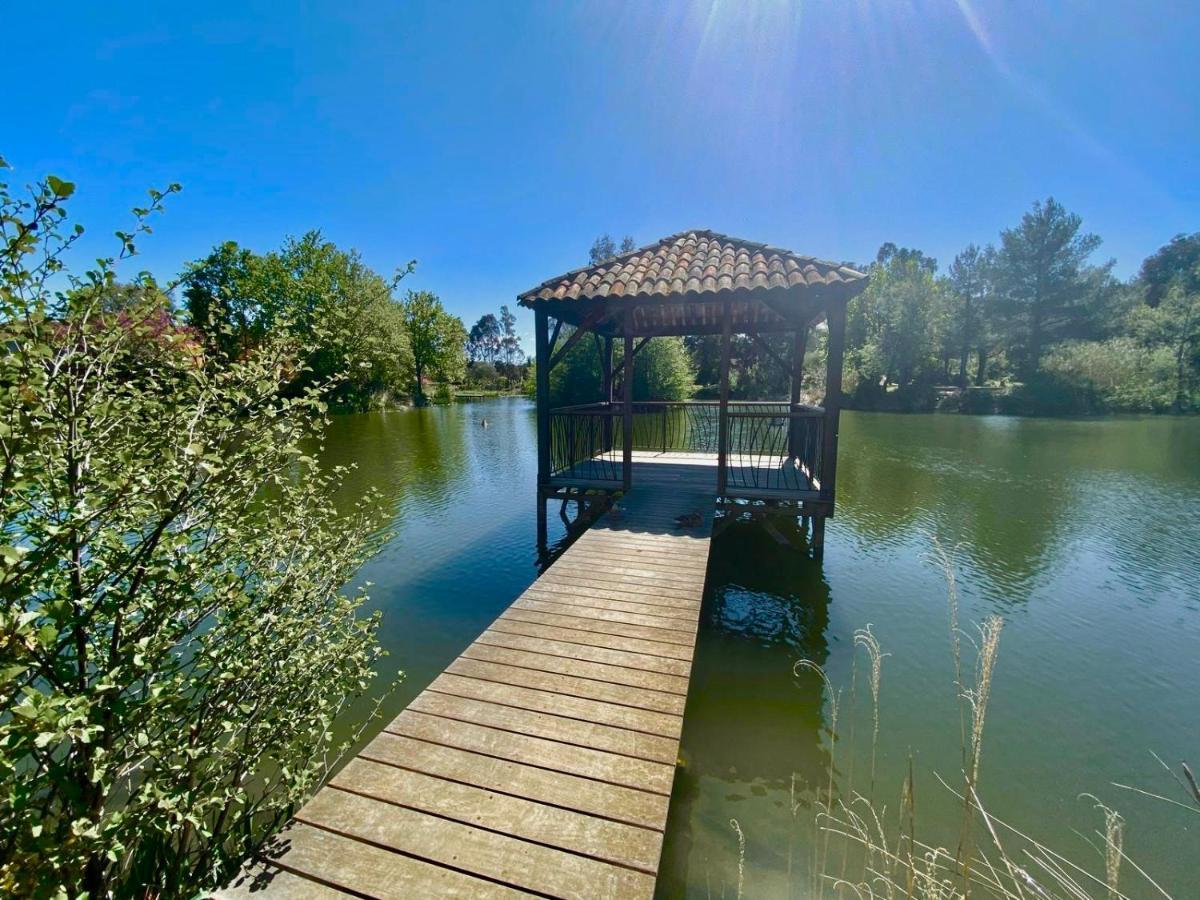Appartamento Les Restanques 2268 Glycines Grimaud Esterno foto